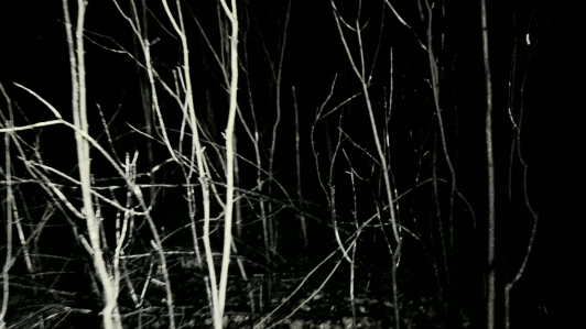 pov-shot-walking-running-through-dark-spooky-forest-at-night_nkl-qe9c__F0000